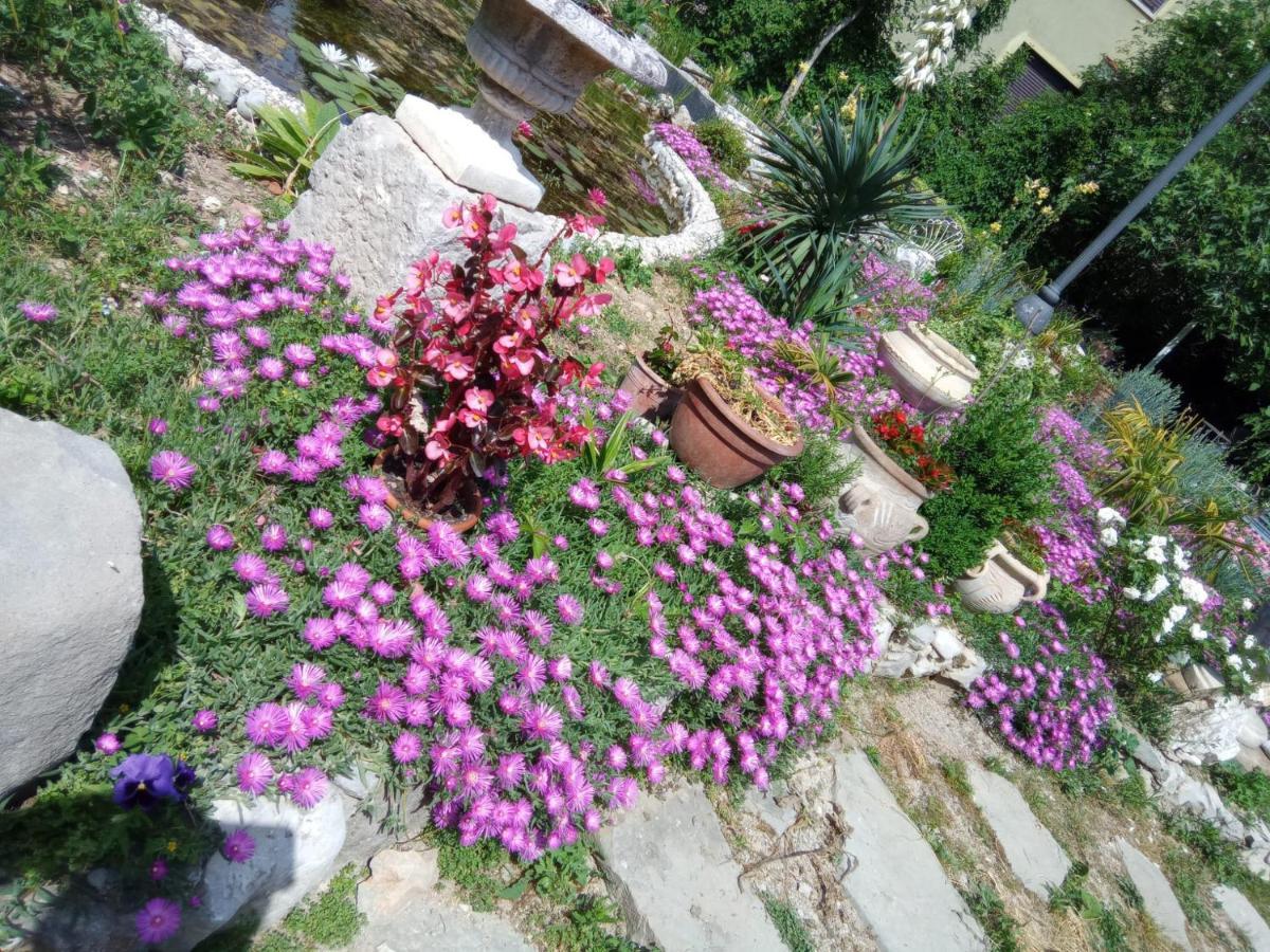 Villa Fiorita Monfalcone Kültér fotó