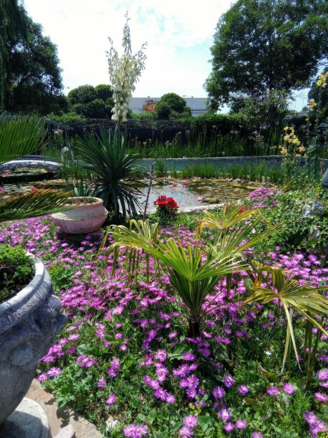 Villa Fiorita Monfalcone Kültér fotó
