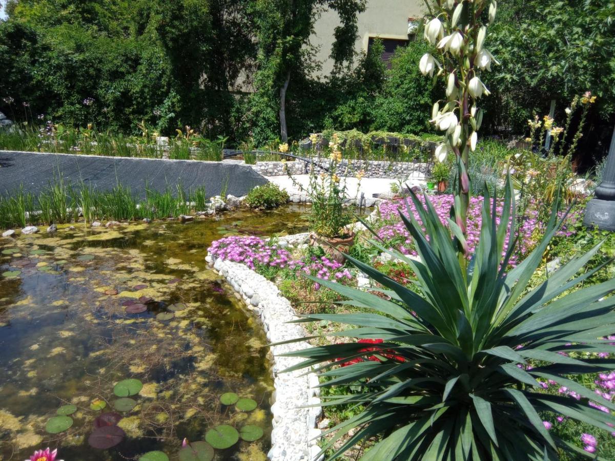 Villa Fiorita Monfalcone Kültér fotó