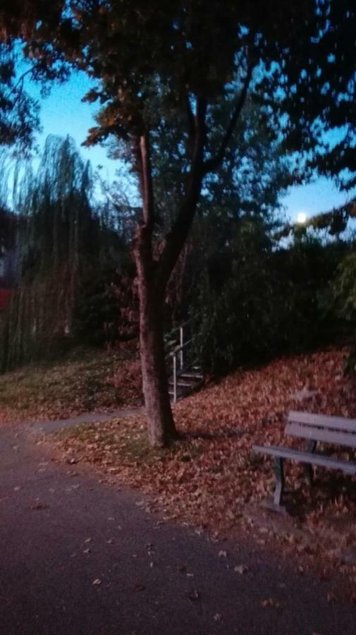 Villa Fiorita Monfalcone Kültér fotó